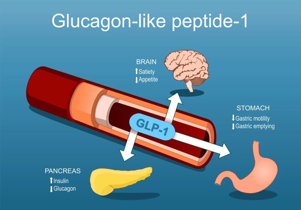 GLP-1 agonisti literatūrā: semaglutide, tirzepatide, cagrilintide un retatrutide